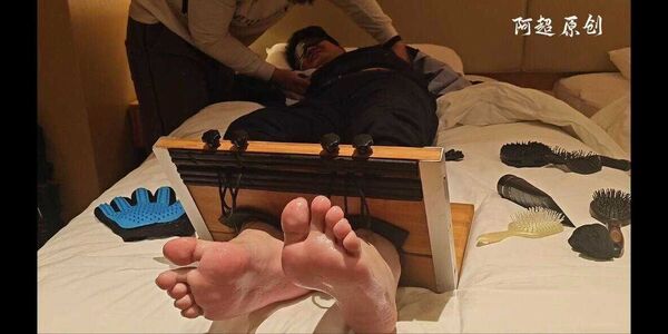 202601第二期精彩推荐